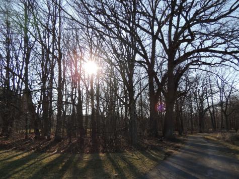 Lot 97 Merry Oaks Drive Sycamore IL 60178