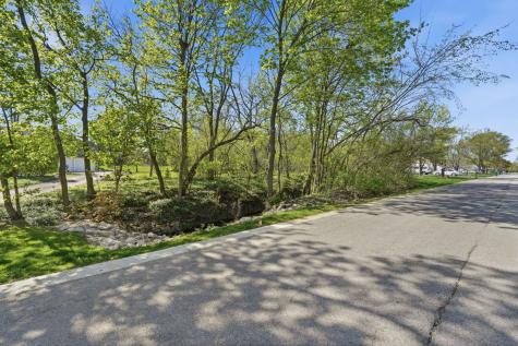 882 North Franklin Avenue Palatine IL 60067