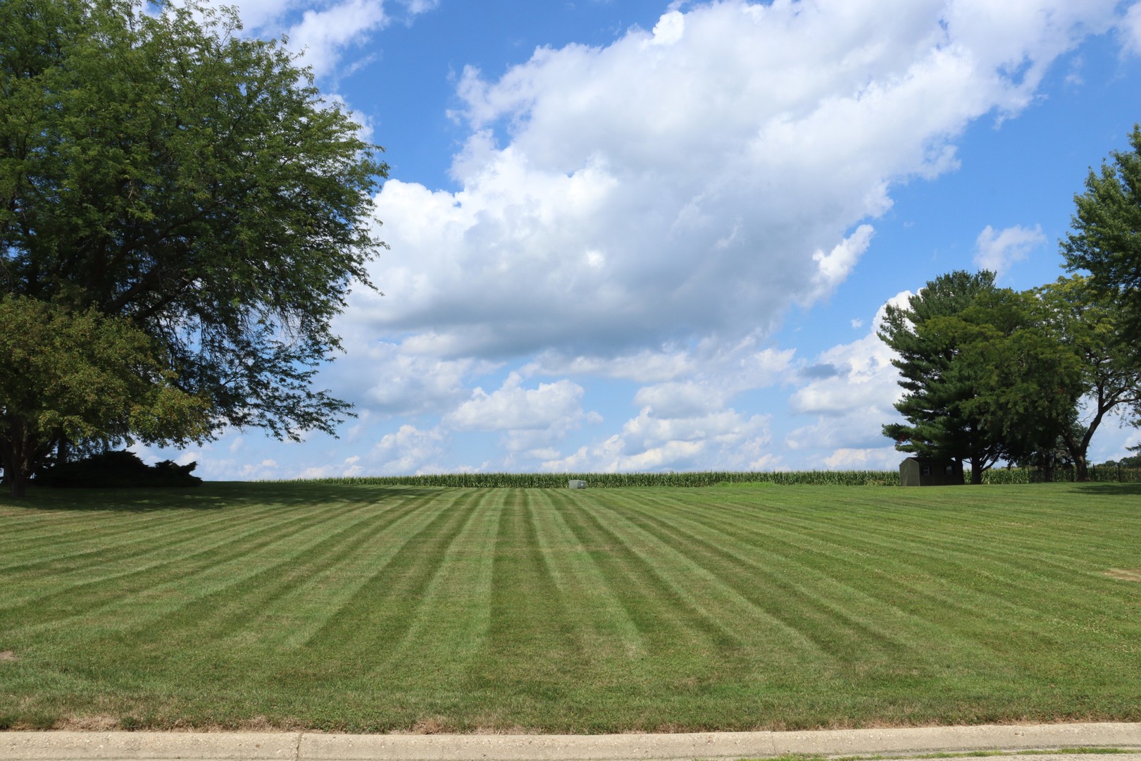 TBD Hilltop Drive Morrison IL 61270