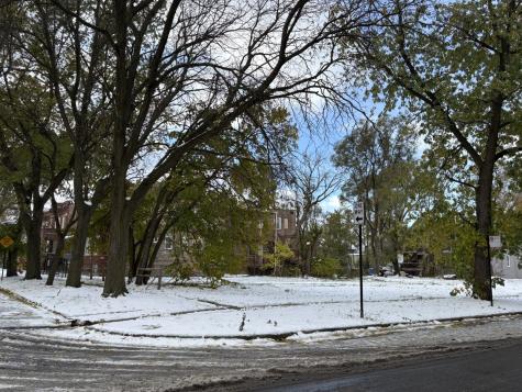 7300 South Dante Avenue Chicago IL 60619