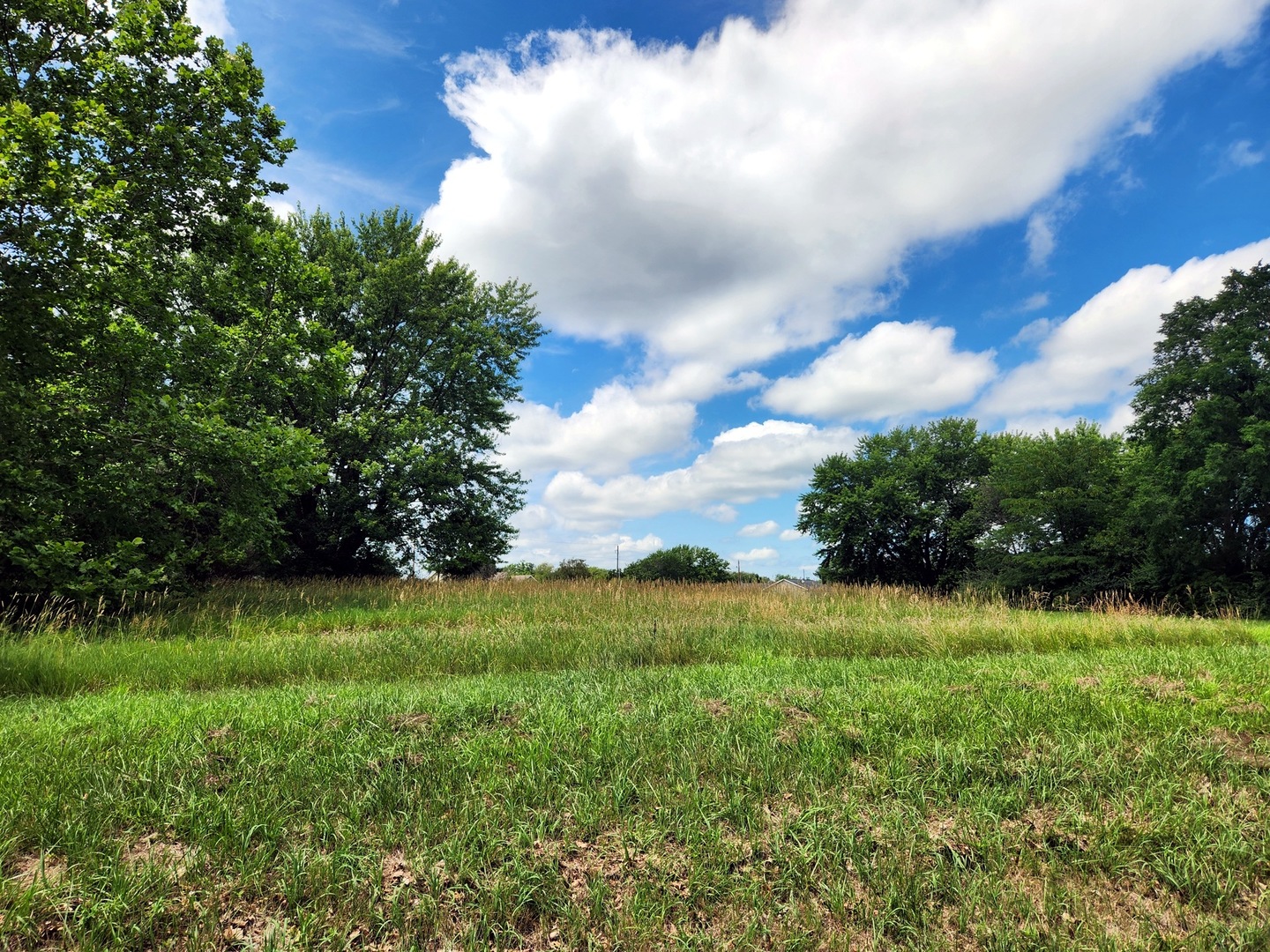481 Earl Miller Drive Varna IL 61375