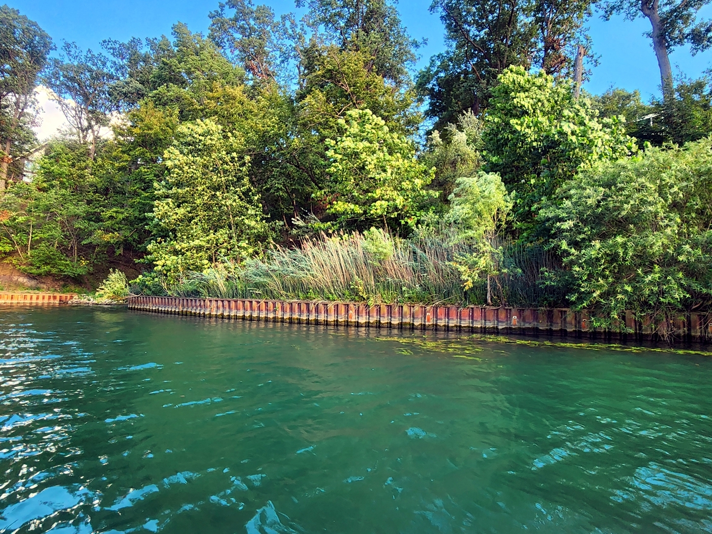 Lot 270 Elm Tree Drive Varna IL 61375