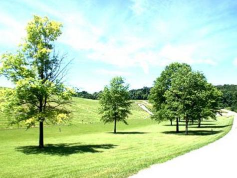 Lot 270 Elm Tree Drive Varna IL 61375