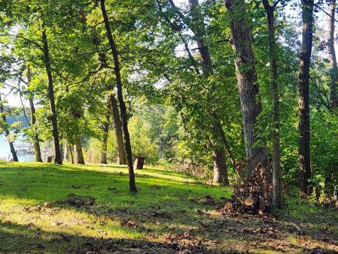 Lot 270 Elm Tree Drive Varna IL 61375