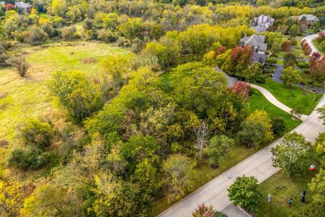 21693 North Tall Oaks Drive Kildeer IL 60047