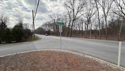 Lot 1 Royal Fox Drive Wayne IL 60184