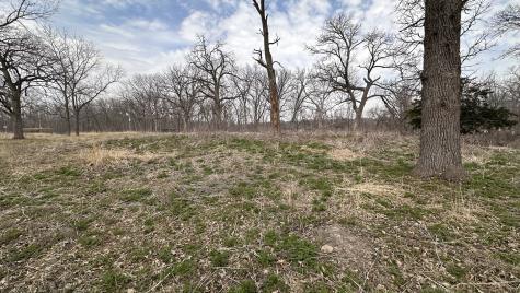 Lot 1 Royal Fox Drive Wayne IL 60184