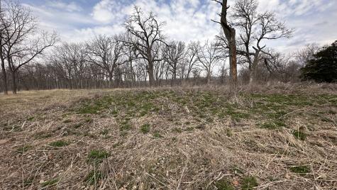 Lot 1 Royal Fox Drive Wayne IL 60184