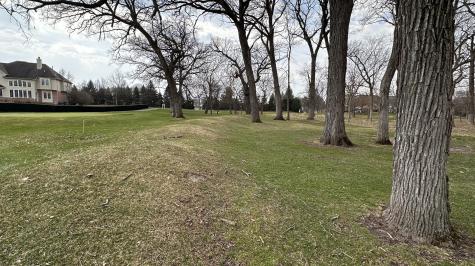 Lot 1 Royal Fox Drive Wayne IL 60184