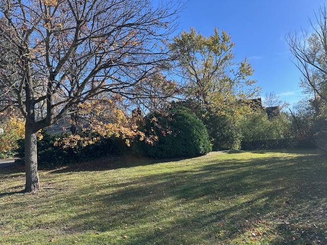 335 Countryside Court Burr Ridge IL 60527