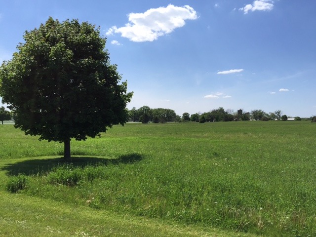 8709 Prairiefield Drive Union IL 60180