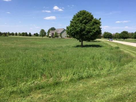 8709 Prairiefield Drive Union IL 60180
