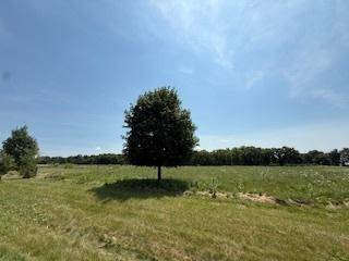 2209 Ann Lane Woodstock IL 60098