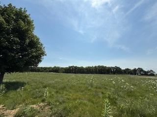 2209 Ann Lane Woodstock IL 60098