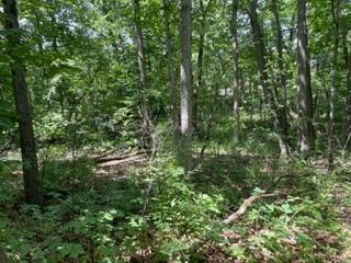 3501 Beckwith Lane Crete IL 60417