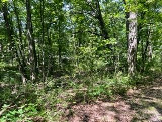 3501 Beckwith Lane Crete IL 60417