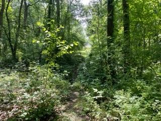 3501 Beckwith Lane Crete IL 60417