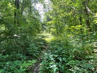 3501 Beckwith Lane Crete IL 60417