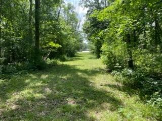 3501 Beckwith Lane Crete IL 60417