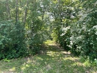 3501 Beckwith Lane Crete IL 60417