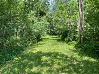 3501 Beckwith Lane Crete IL 60417