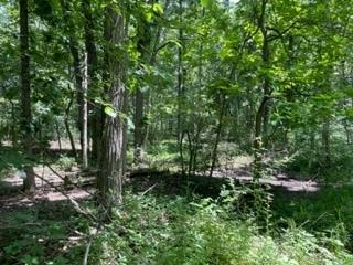 3501 Beckwith Lane Crete IL 60417