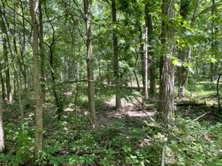 3501 Beckwith Lane Crete IL 60417