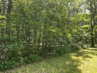 3501 Beckwith Lane Crete IL 60417