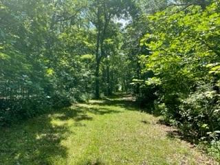 3501 Beckwith Lane Crete IL 60417