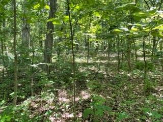 3501 Beckwith Lane Crete IL 60417