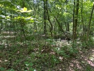 3501 Beckwith Lane Crete IL 60417
