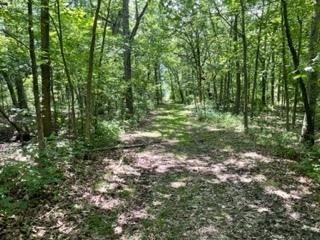 3501 Beckwith Lane Crete IL 60417