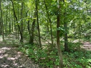3501 Beckwith Lane Crete IL 60417