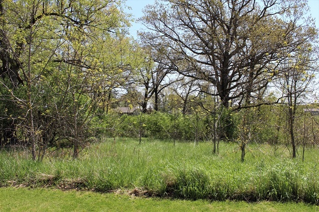 Lot 19 Masters Drive Morrison IL 61270