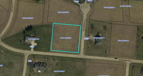 23205 Blackberry Court Lake Carroll IL 61046