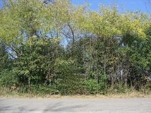 151ST & Macgregor Street Lockport IL 60441