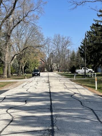 221 North Graylynn Drive Mount Prospect IL 60056