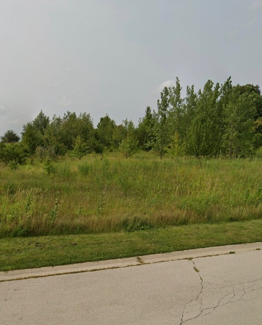 4541 Waa-kee-sha Drive Oswego IL 60543