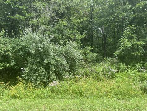 28 Cedar Lane Putnam IL 61560
