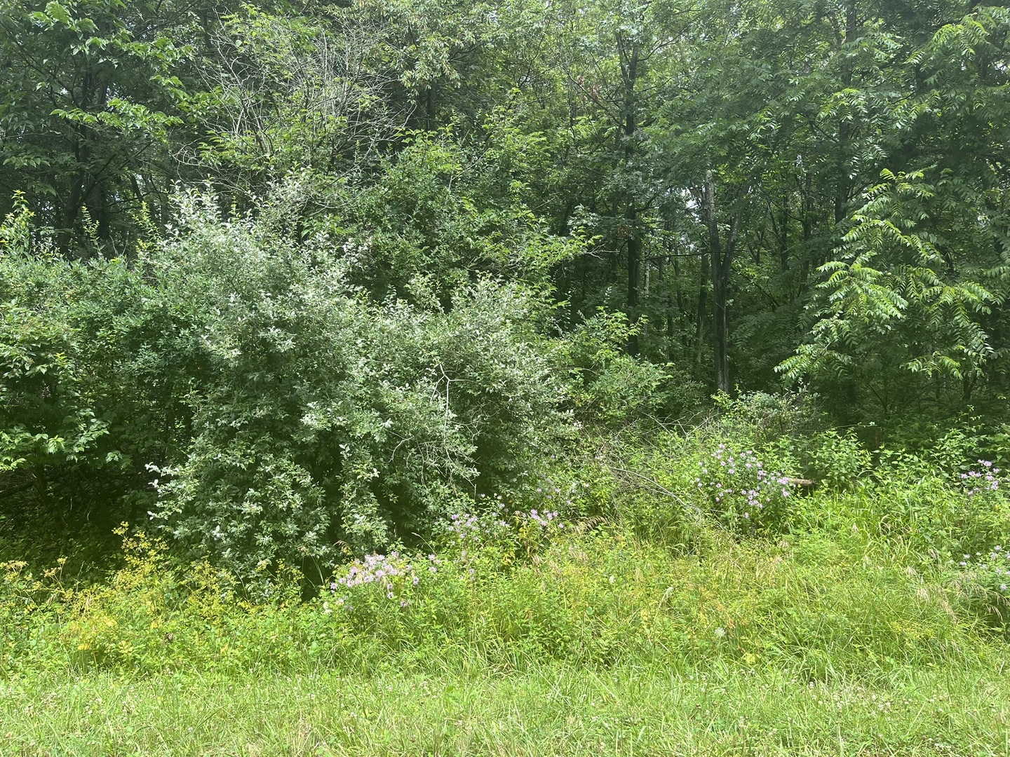 28 Cedar Lane Putnam IL 61560
