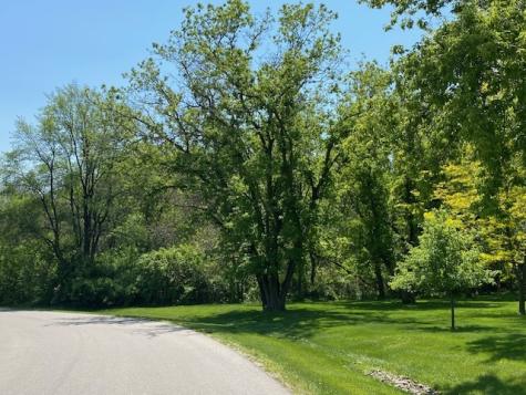 3.8 Ac Johnsburg Road Johnsburg IL 60051