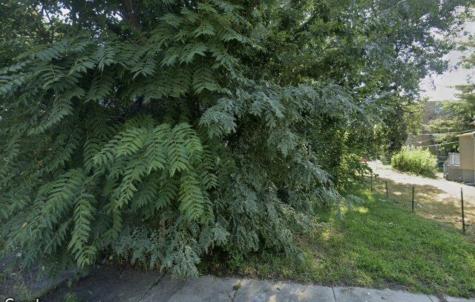 6521 South Emerald Avenue Chicago IL 60621