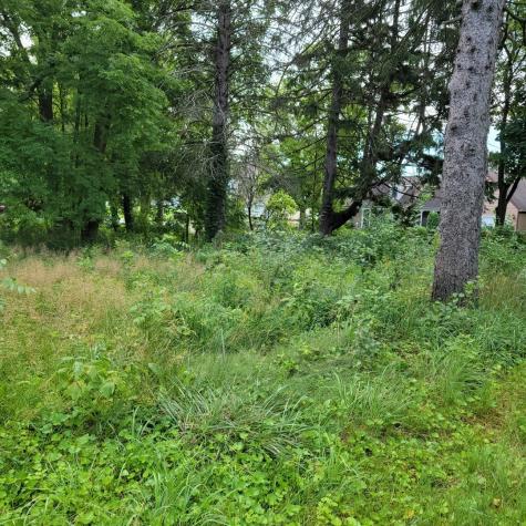 25586 West High Street W Wauconda IL 60084