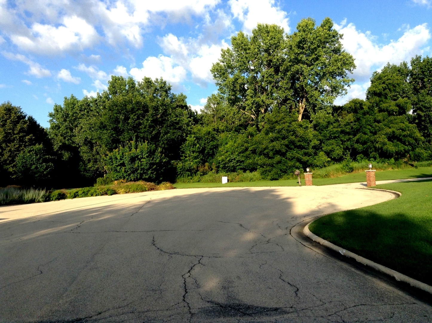 15450 West Purley Court Homer Glen IL 60491