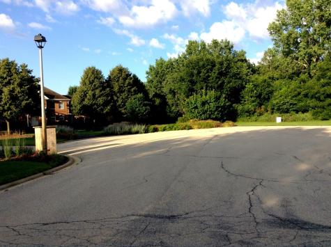 15450 West Purley Court Homer Glen IL 60491