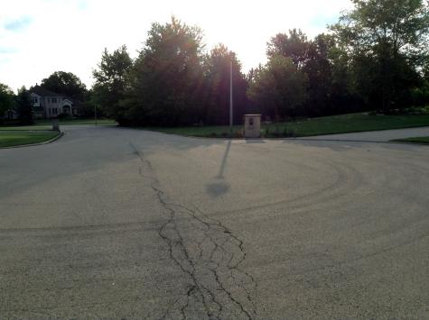 15450 West Purley Court Homer Glen IL 60491