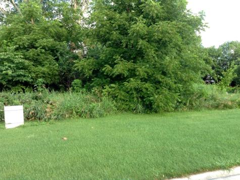 15450 West Purley Court Homer Glen IL 60491