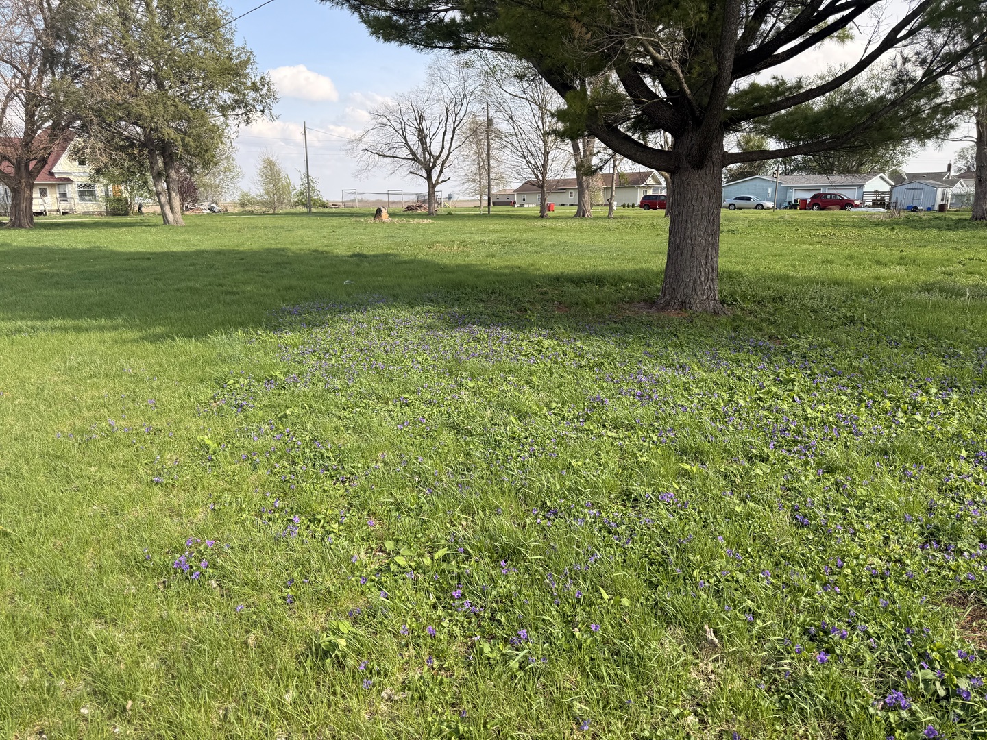 210 North Maple Street Magnolia IL 61336