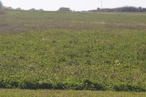 Lot5 South Route 52 Road Manhattan IL 60442
