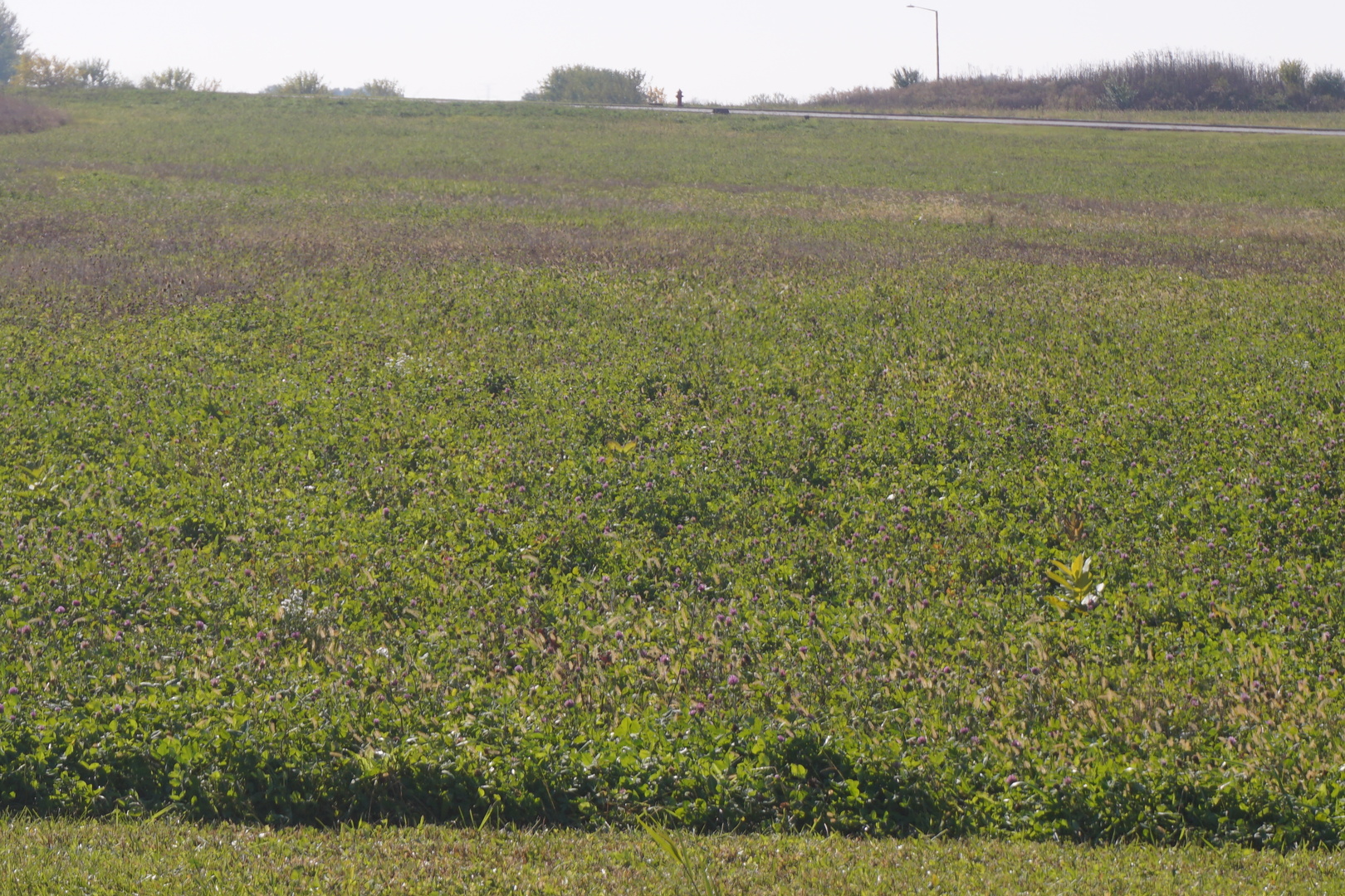Lot5 South Route 52 Road Manhattan IL 60442
